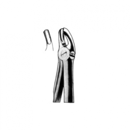 FITTING HANDLES TOOTH EXTRACTING FORCEPS