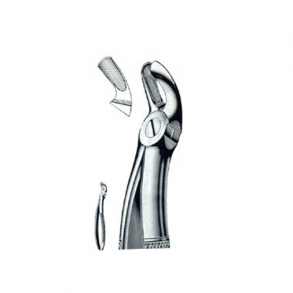 ENGLISH EXTRACTING FORCEPS