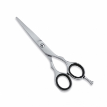 PROFESSIONAL HAIR CUTTING SCISSORS