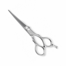 PROFESSIONAL HAIR CUTTING SCISSORS