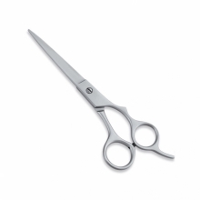 PROFESSIONAL HAIR CUTTING SCISSORS