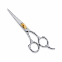 PROFESSIONAL HAIR CUTTING SCISSORS