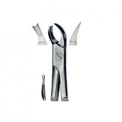 ENGLISH EXTRACTING FORCEPS