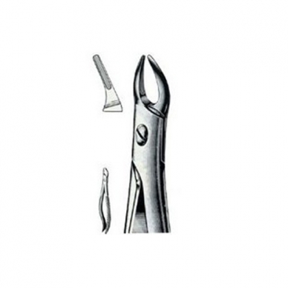 ENGLISH EXTRACTING FORCEPS