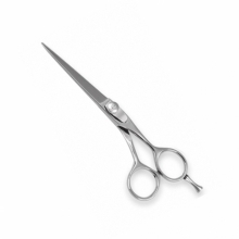 PROFESSIONAL HAIR CUTTING SCISSORS