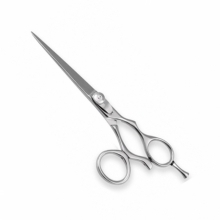 PROFESSIONAL HAIR CUTTING SCISSORS