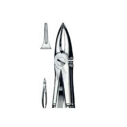 ENGLISH EXTRACTING FORCEPS