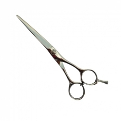 PROFESSIONAL HAIR CUTTING SCISSORS