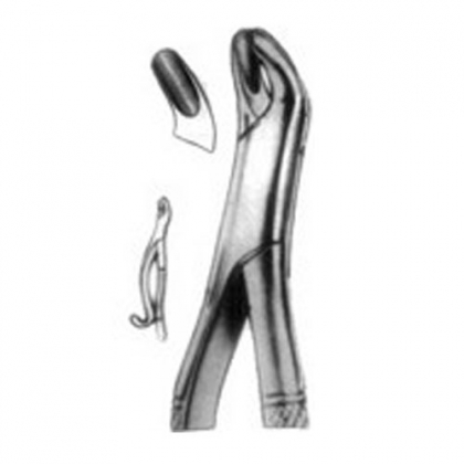 AMERICAN EXTRACTING FORCEPS