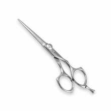 PROFESSIONAL HAIR CUTTING SCISSORS