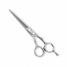 PROFESSIONAL HAIR CUTTING SCISSORS