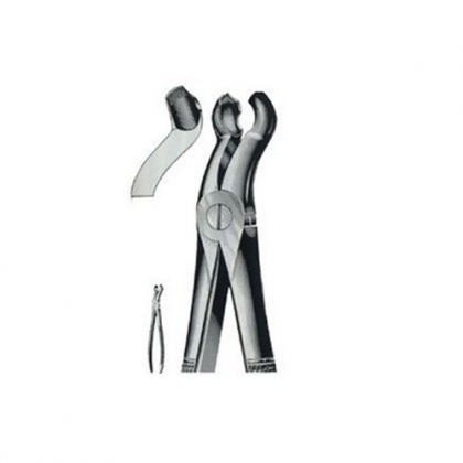 ENGLISH EXTRACTING FORCEPS