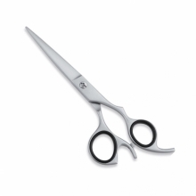 PROFESSIONAL HAIR CUTTING SCISSORS