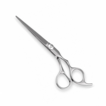 PROFESSIONAL HAIR CUTTING SCISSORS