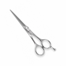 PROFESSIONAL HAIR CUTTING SCISSORS