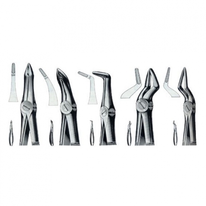 ENGLISH EXTRACTING FORCEPS