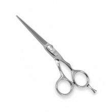 PROFESSIONAL HAIR CUTTING SCISSORS