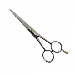 PROFESSIONAL HAIR CUTTING SCISSORS