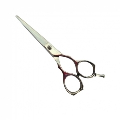 PROFESSIONAL HAIR CUTTING SCISSORS