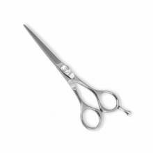 PROFESSIONAL HAIR CUTTING SCISSORS