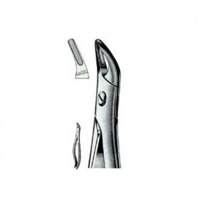 ENGLISH EXTRACTING FORCEPS