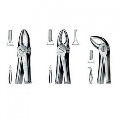 ENGLISH EXTRACTING FORCEPS