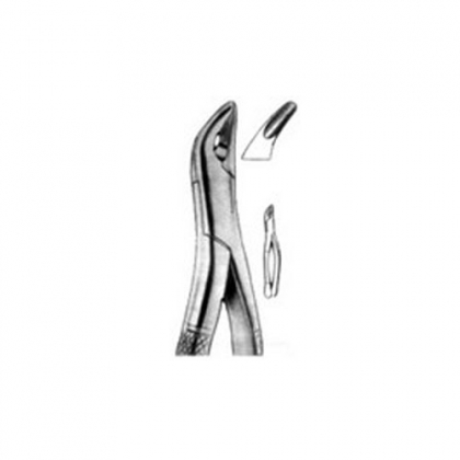 AMERICAN EXTRACTING FORCEPS