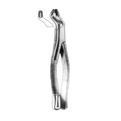  AMERICAN EXTRACTING FORCEPS