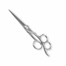 PROFESSIONAL HAIR CUTTING SCISSORS