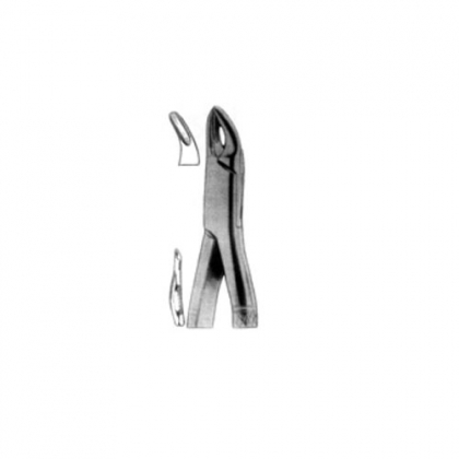 AMERICAN EXTRACTING FORCEPS