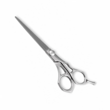 PROFESSIONAL HAIR CUTTING SCISSORS