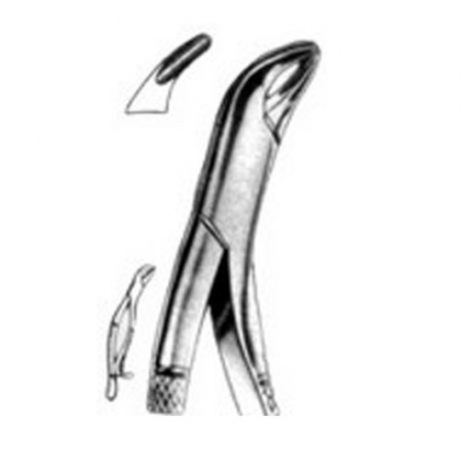 AMERICAN EXTRACTING FORCEPS