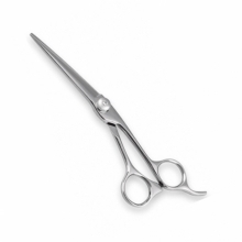 PROFESSIONAL HAIR CUTTING SCISSORS